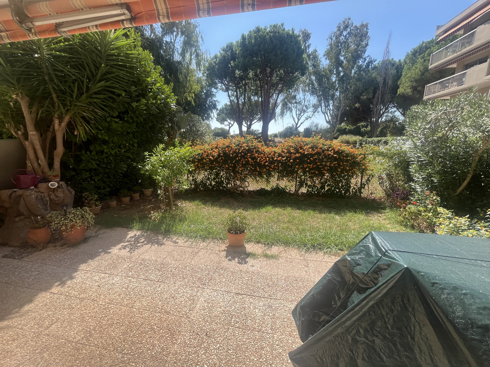 Image_1, Appartement, Antibes, ref :090920251